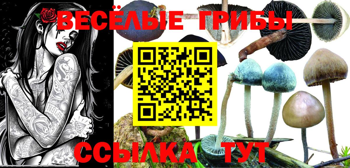 Галлюциногенные грибы Psilocybine cubensis  Вход с VPN  Кумертау 